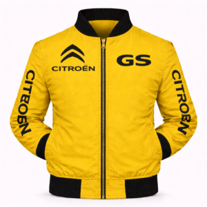 Citroen GS 2