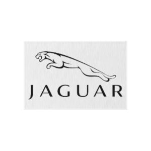 Jaguar Logo Outdoor Rug, Custom doormat, personalised doormat, personalized Rug, monogram rug, housewarming gift, closing gift, Custom Rug